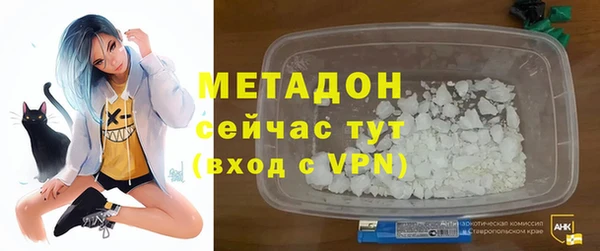 ПСИЛОЦИБИНОВЫЕ ГРИБЫ Дмитриев