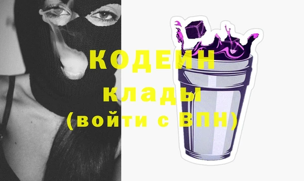 ПСИЛОЦИБИНОВЫЕ ГРИБЫ Дмитриев