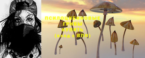 ПСИЛОЦИБИНОВЫЕ ГРИБЫ Дмитриев