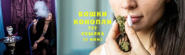 ПСИЛОЦИБИНОВЫЕ ГРИБЫ Дмитриев