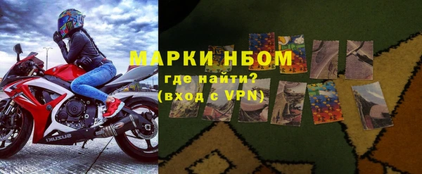 ПСИЛОЦИБИНОВЫЕ ГРИБЫ Дмитриев