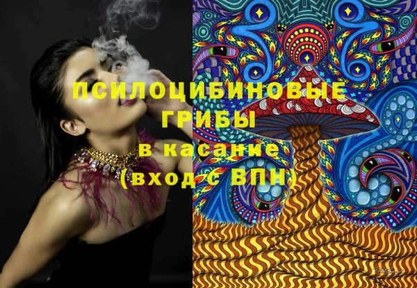 ПСИЛОЦИБИНОВЫЕ ГРИБЫ Дмитриев