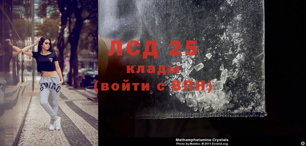 ПСИЛОЦИБИНОВЫЕ ГРИБЫ Дмитриев