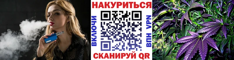 Бошки Шишки MAZAR  Купить где  Пересвет 